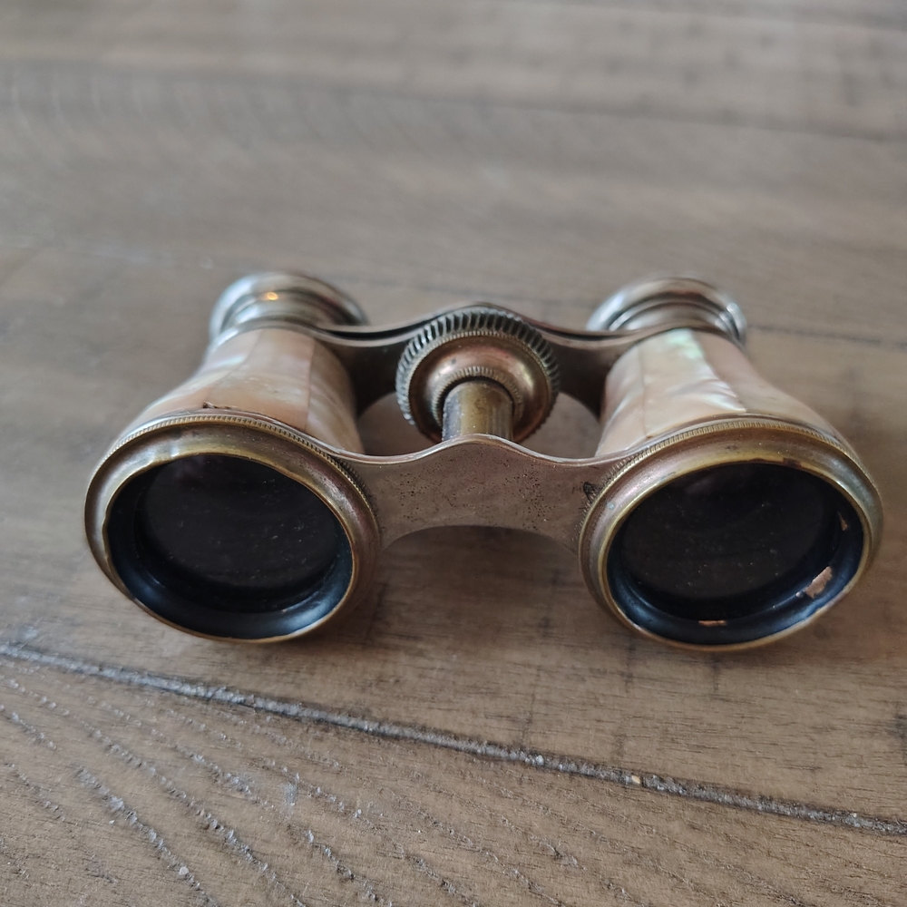 Vintage Opera Glasses with Mother of Pearl Accents - Picture 2 of 3